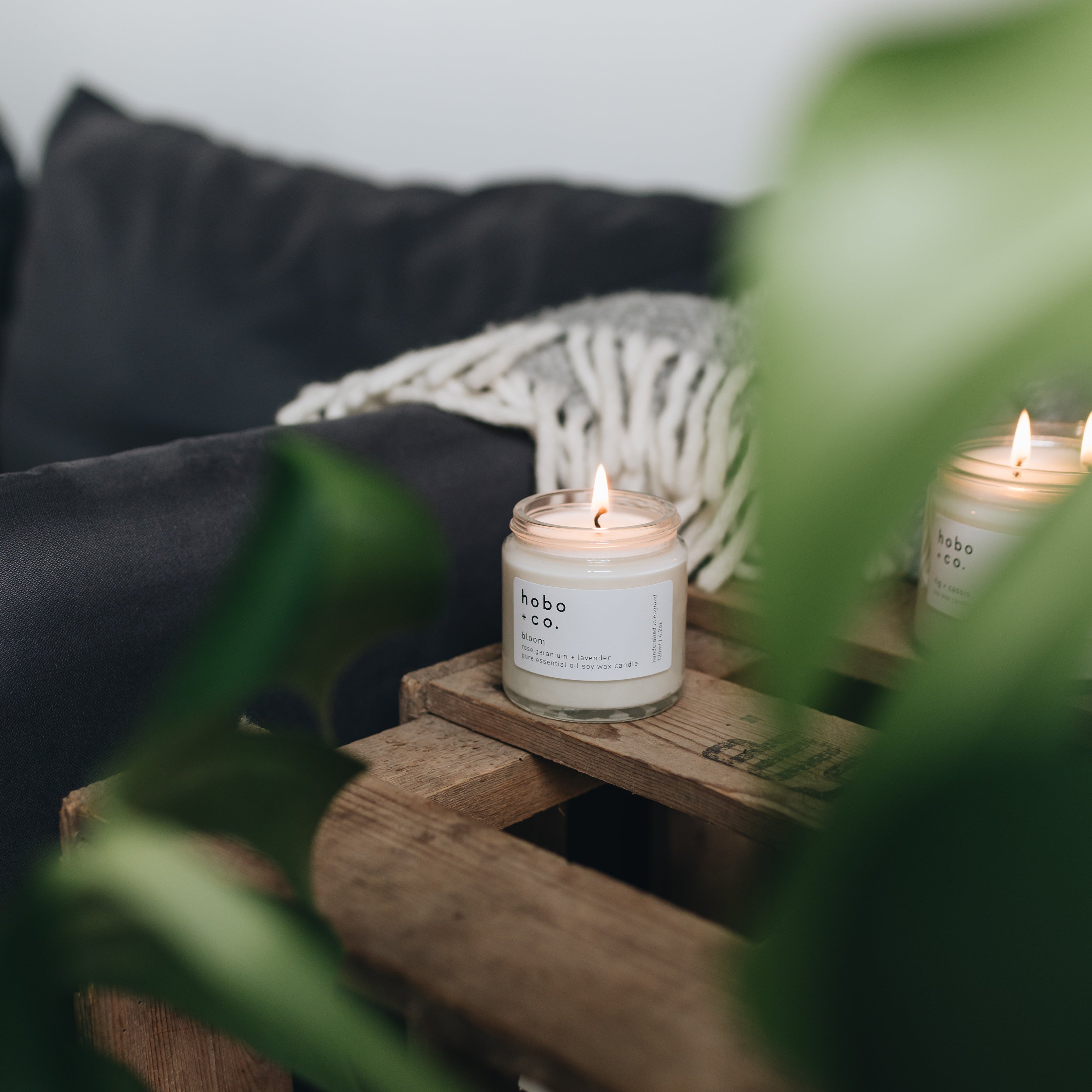 small lit bloom candle on a rustic side table with a dark sofa and grey blanket with a green plant in the foreground