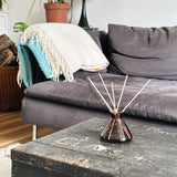 Smoke grey home fragrance bottle with reeds in living room 
