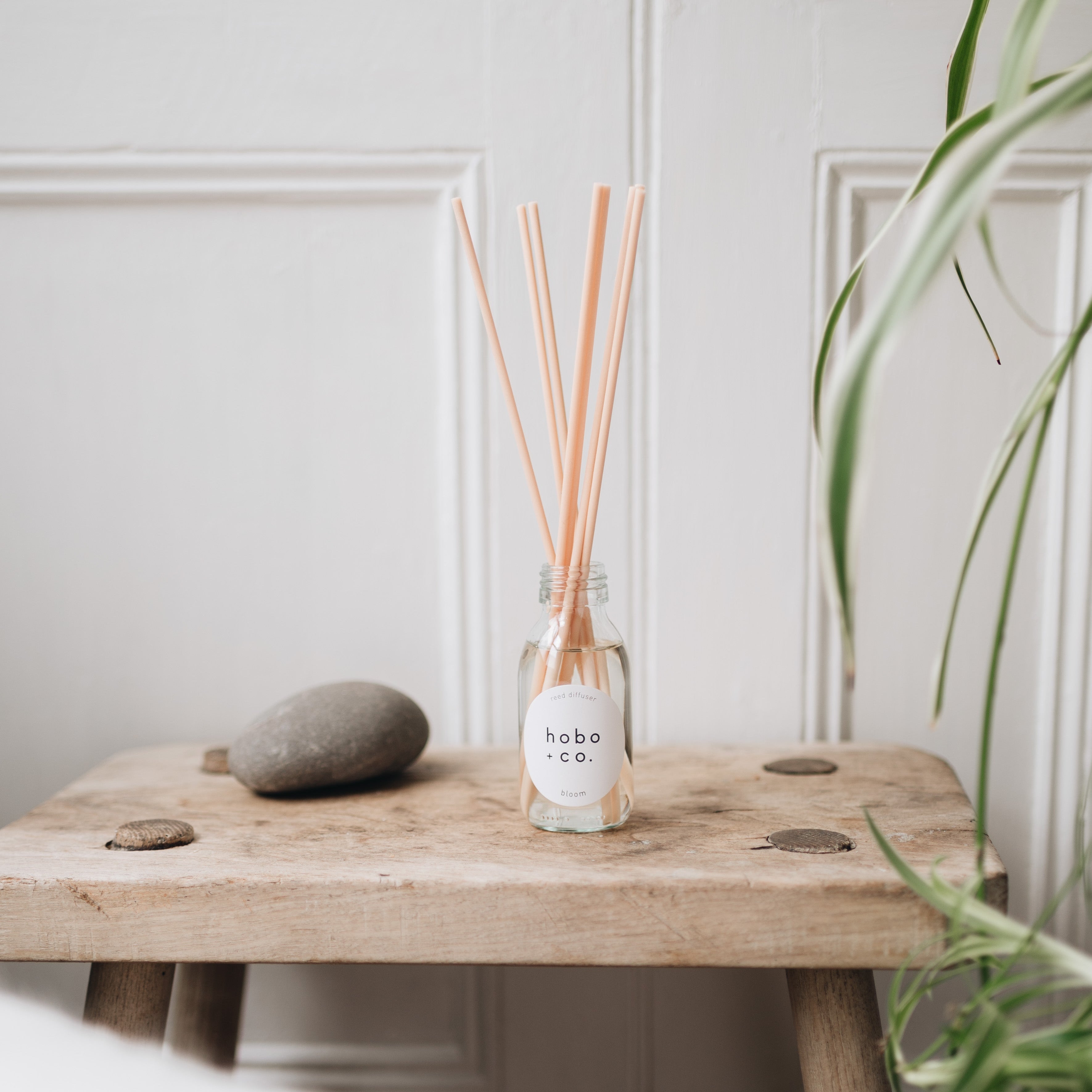 Reed diffuser with wooden sticks in a glass bottle on a wooden table against a white wall.