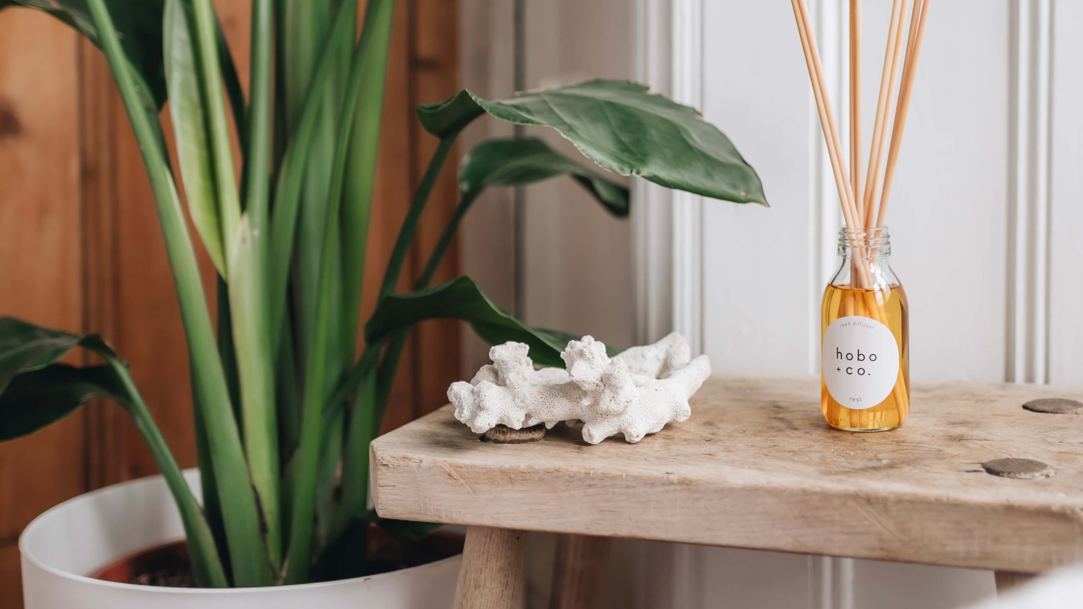 Reed diffuser from Hobo and Co.