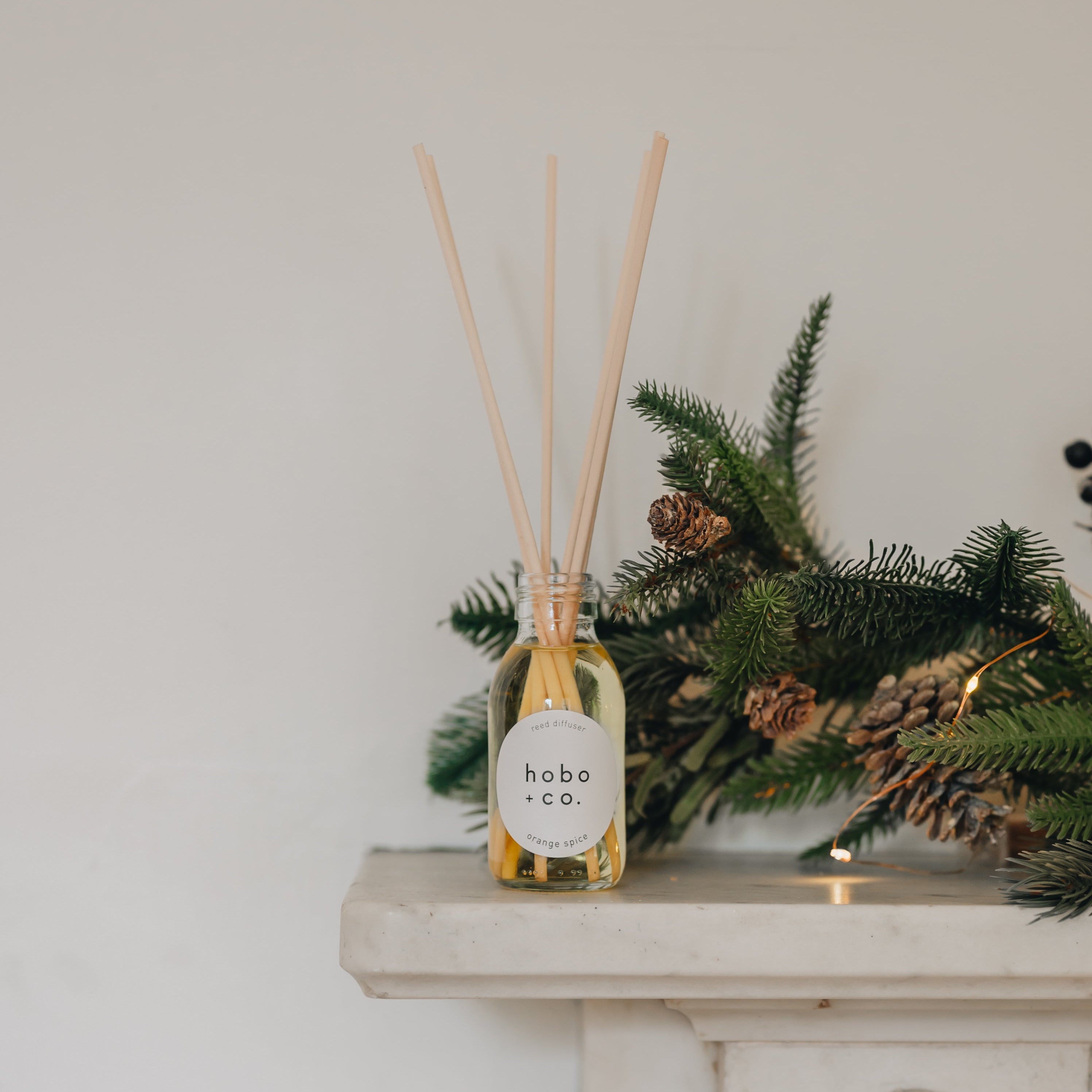 Reed diffuser with 'hobo + co.' label on a decorative surface with greenery