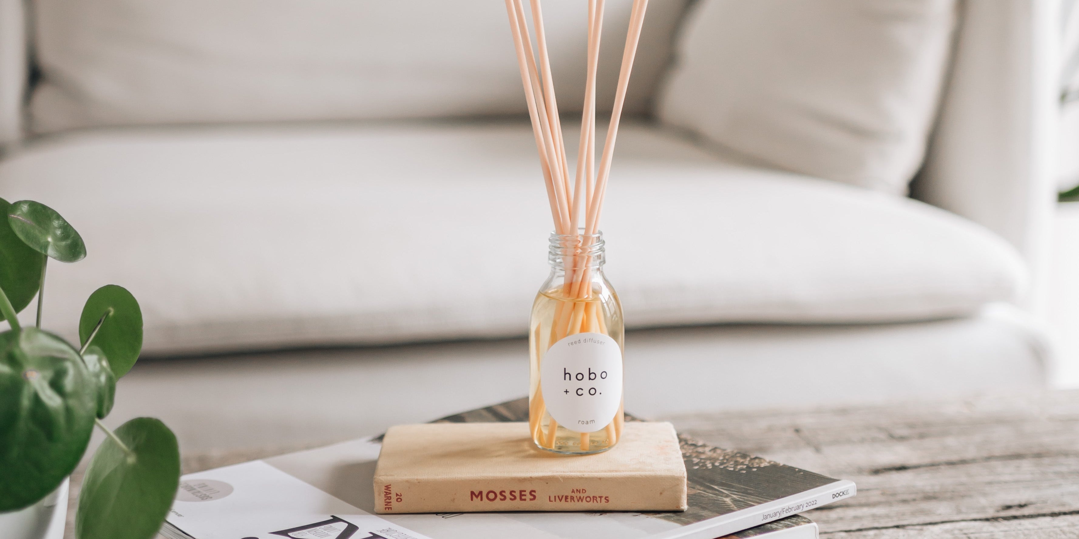 roam reed diffuser and travel books