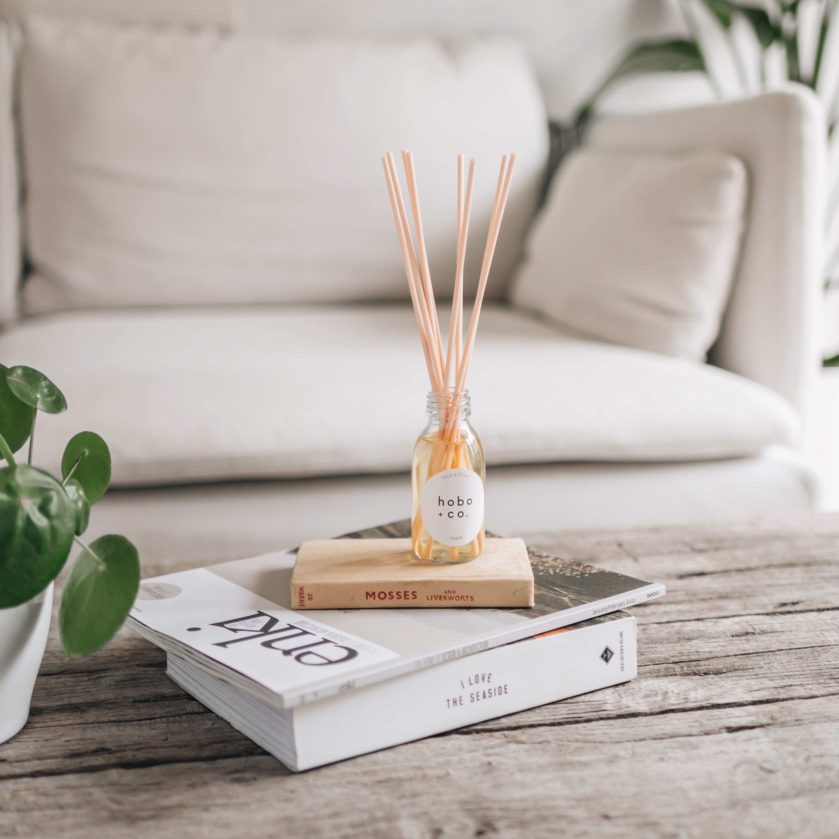 roam reed diffuser and travel books