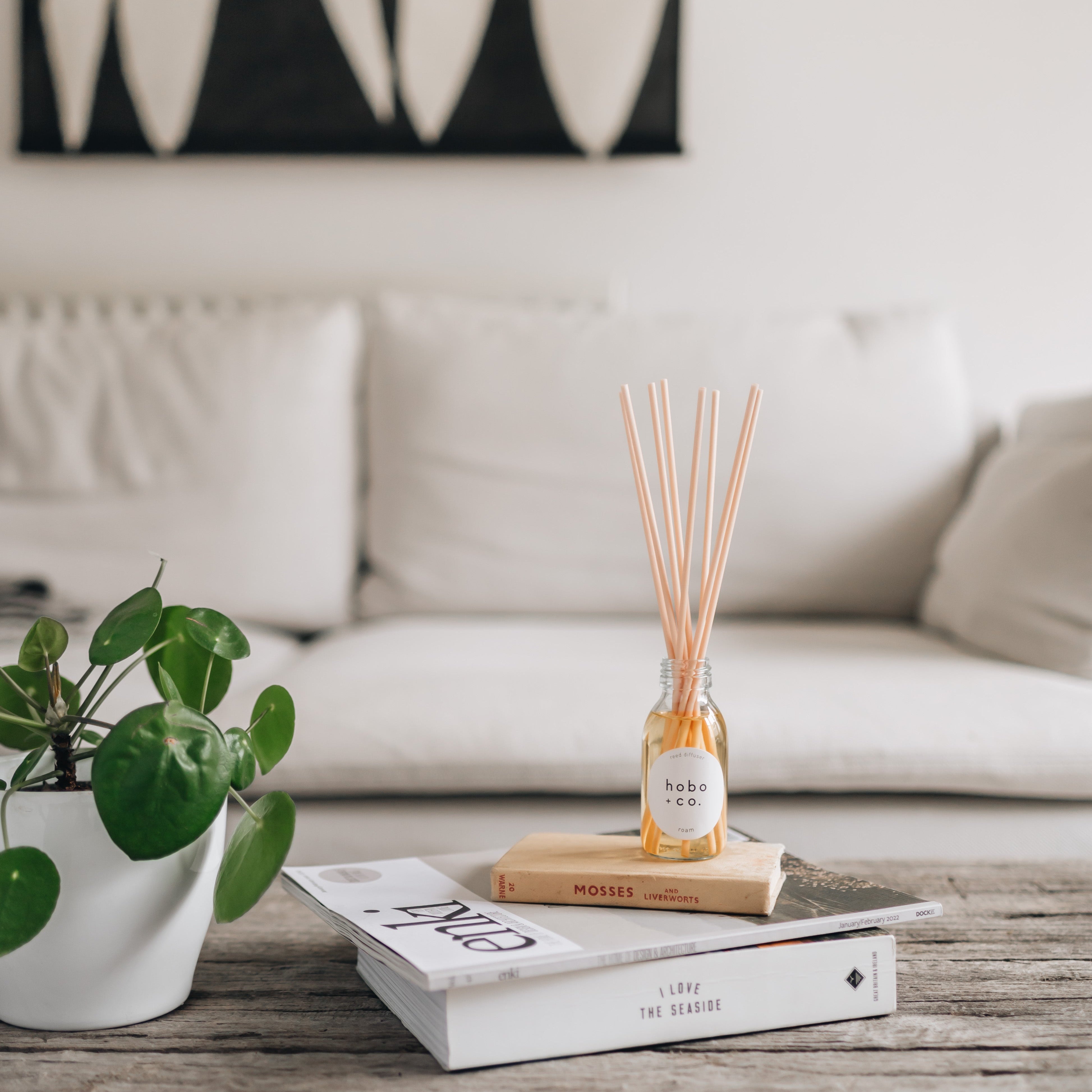 roam reed diffuser on a rustioc living room table with a cream sofa behind